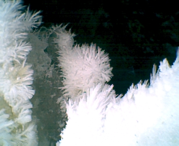 Root River Ice (#1)