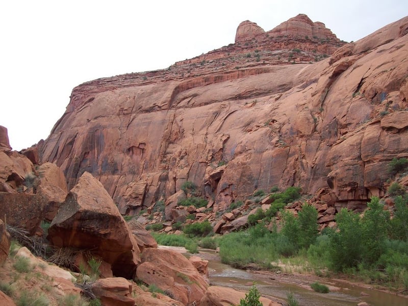 Escalante 2009