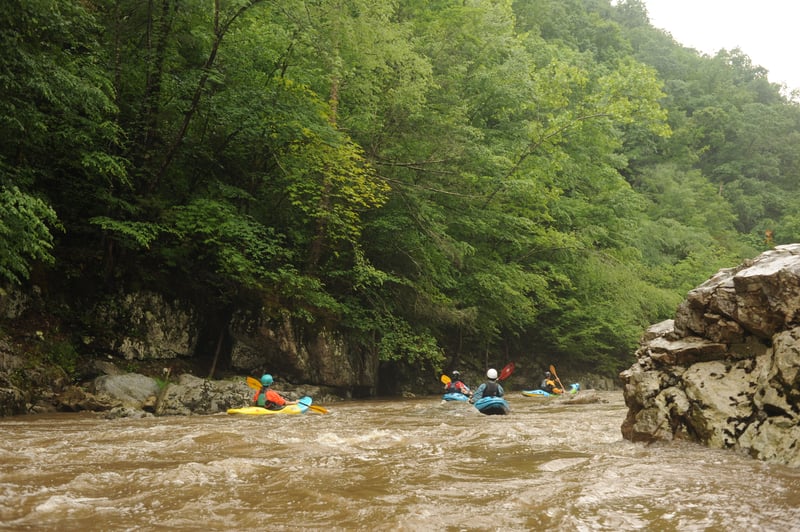 Enjoying the Big Laurel