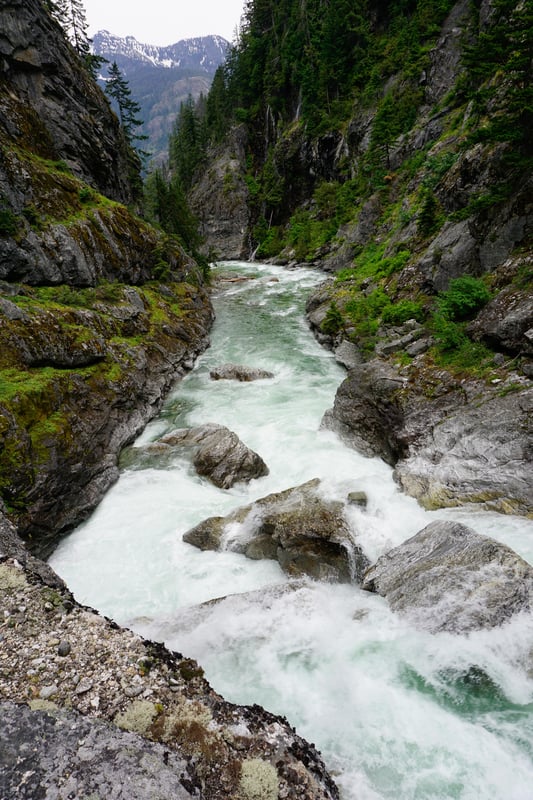 Sieve rapid