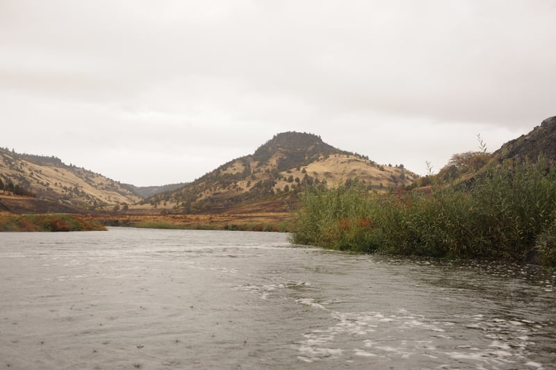 Looking Back Upstream Towards Jenny Creek