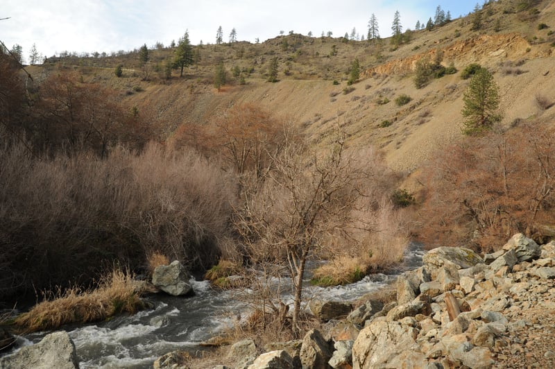 Shasta River Rapid