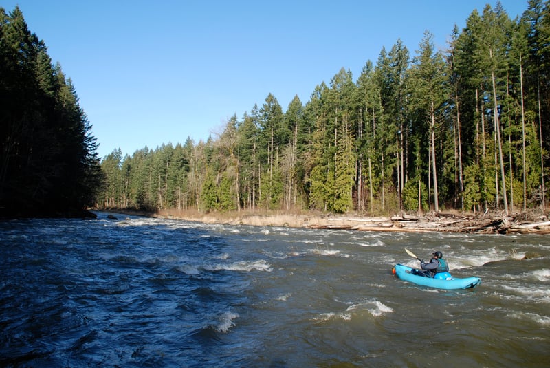 Nisqually River