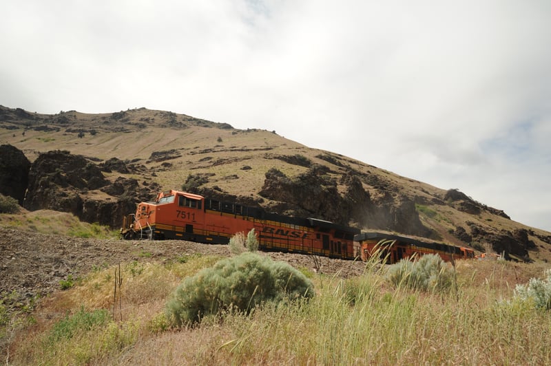 Train Near Dixon Camp