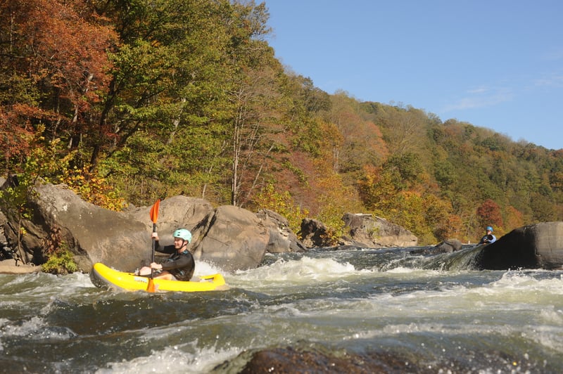 Looking Upstream at Bottle of Wine