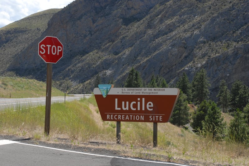 Lucile Sign