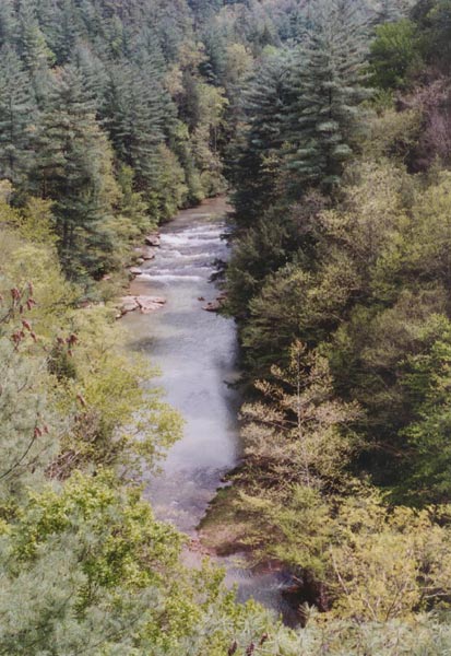 Falls of Red River