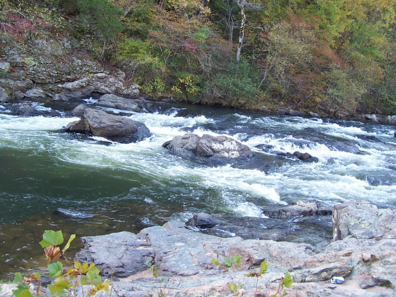 Fall Line Rapid