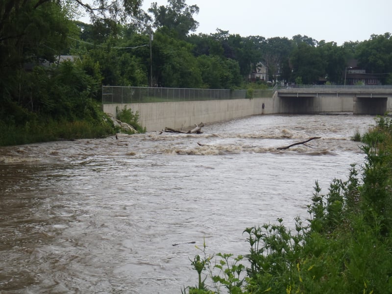zoomed - looking towards wingdam ~800cfs, 6/23/10