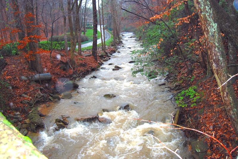 Marsh Creek