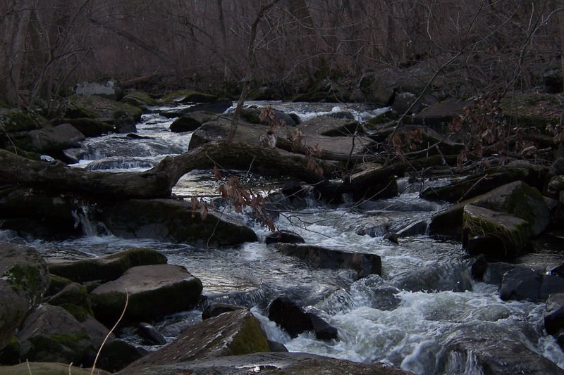 beaver creek beast at very low level