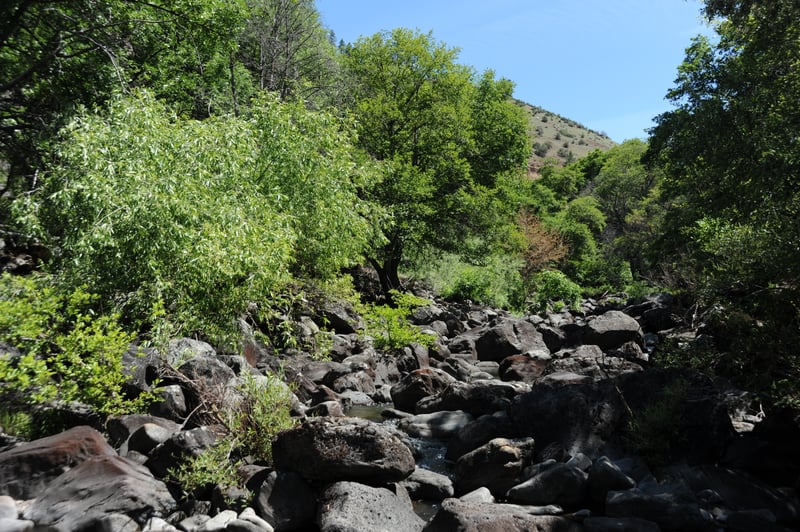 River Channel Below Copco Dam