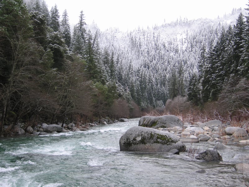 Snowy NF Salmon River