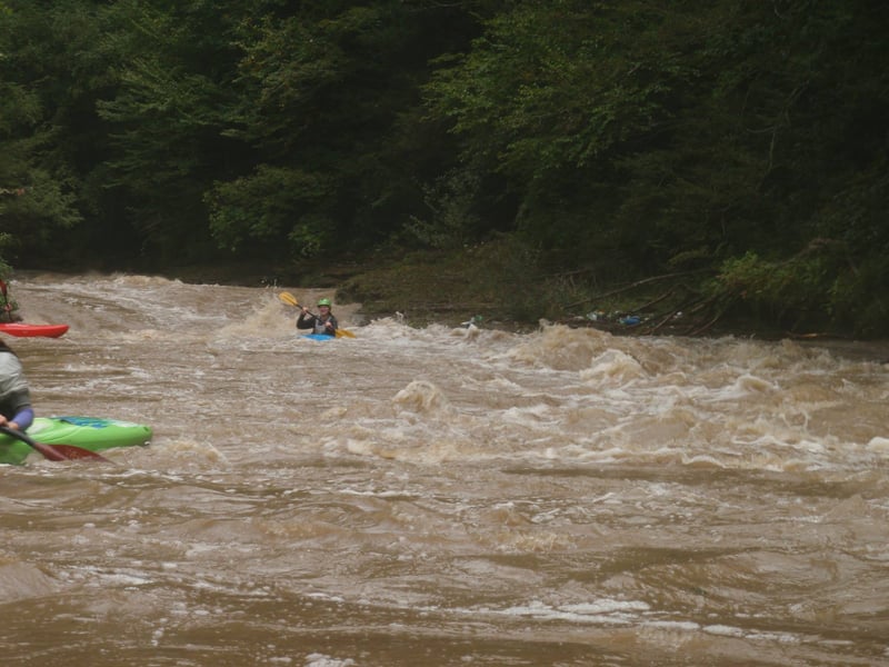Typical rapid