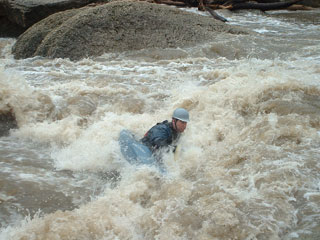 Surfing Wildcat