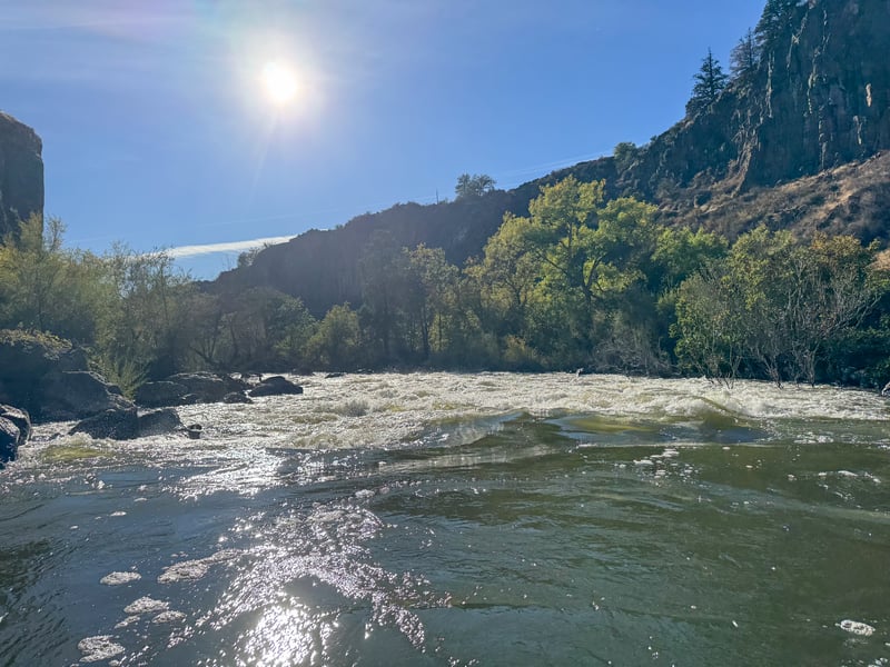 Top of rapid