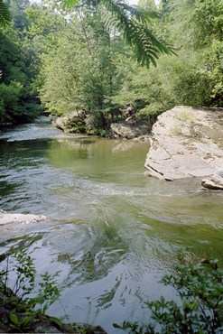 Middle Prong scenery