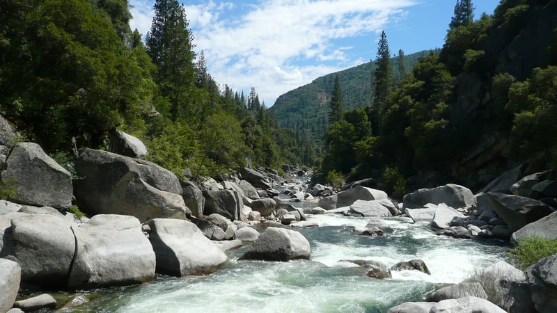 ~600cfs