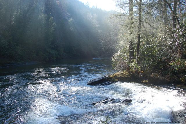 Confluence with Chattooga River