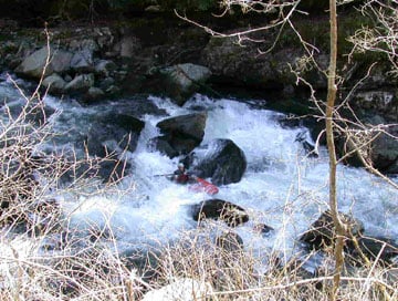 Cascades