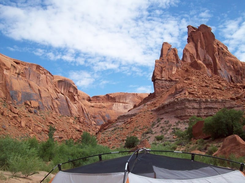 Escalante 2009