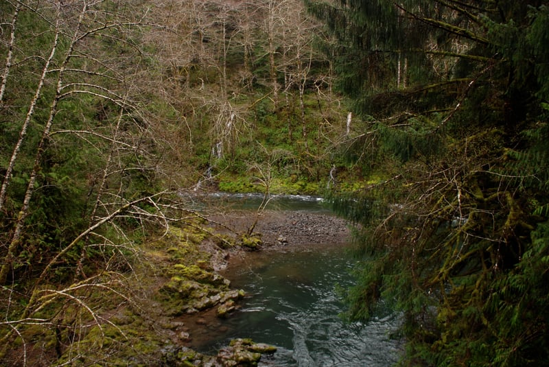 Kilchis River