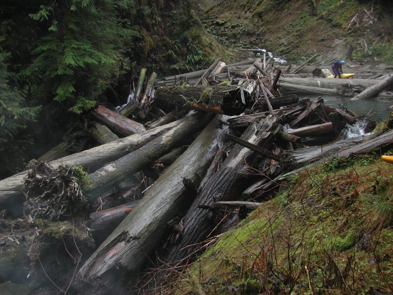 Major Log Jam