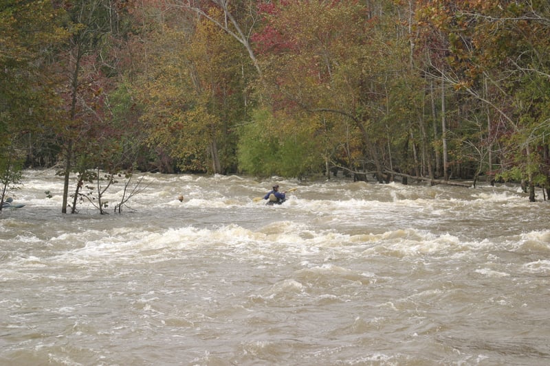 Third Rapid