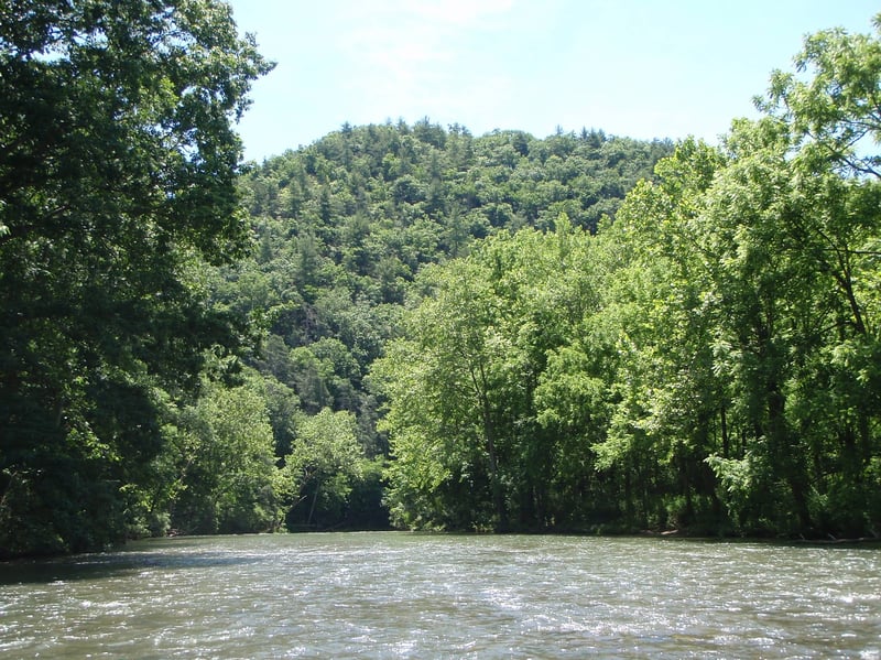 Cowpasture below Bullpasture