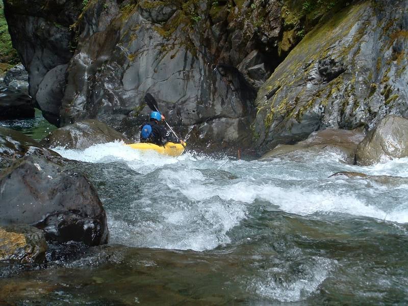 Paul, 1st drop NF Quinault