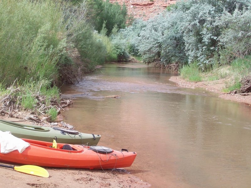 Escalante 2009