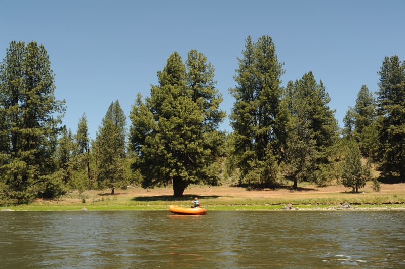 Restored Klamath River