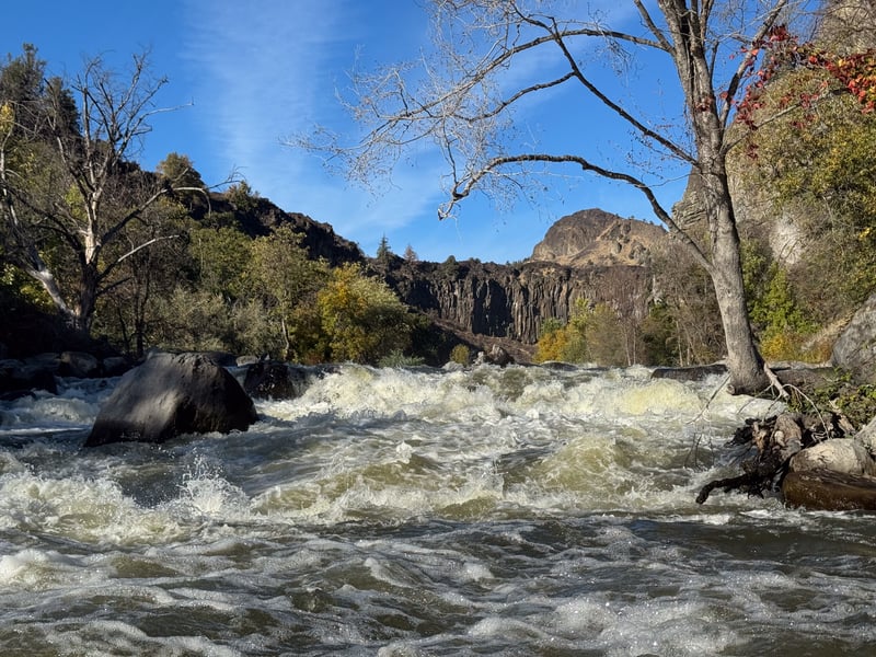 Upstream view of rapid