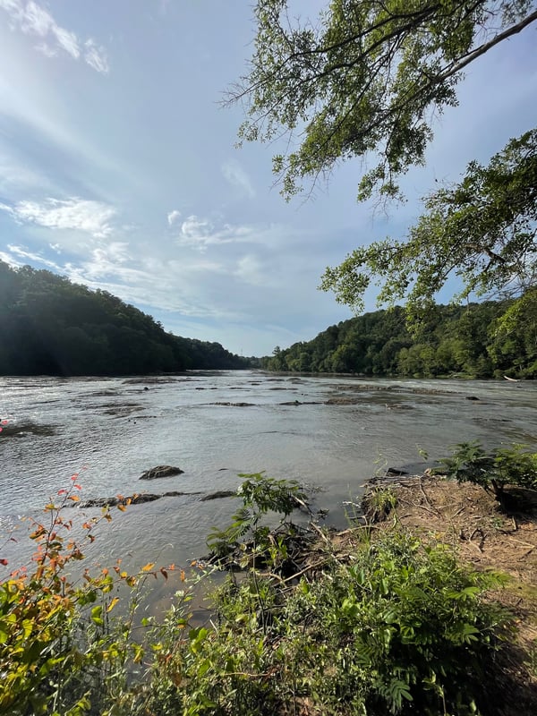 Looking upstream towards Devils Race Course Shoals from The Island