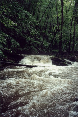 White's Run, another Ledge