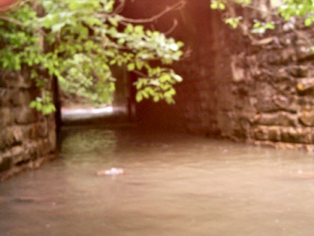 Big Creek exit