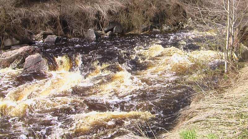 Prairie Dells