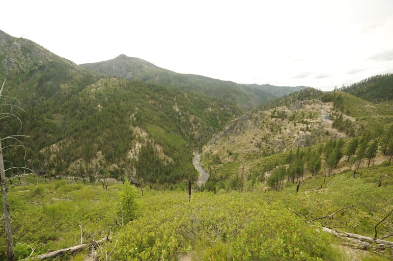  on Salmon, S. Fork @1 - Goat Creek to footbridge at Poverty Flats Campground
