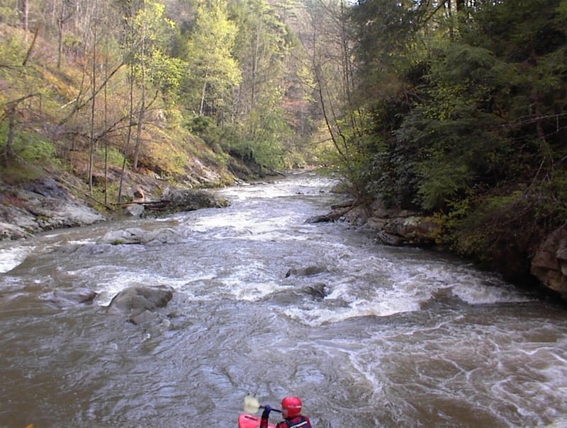 below 1st rapid