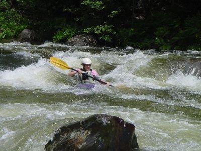 False Tooth Rapid