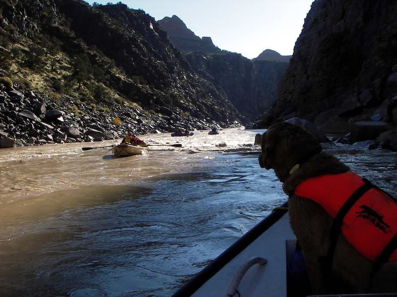 upper marble canyon rapids