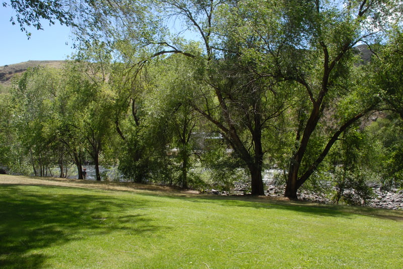 Highway 95 Rest Area
