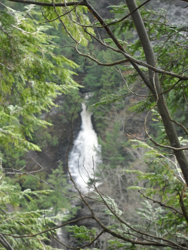 The view of One Whistle Falls from the scout
