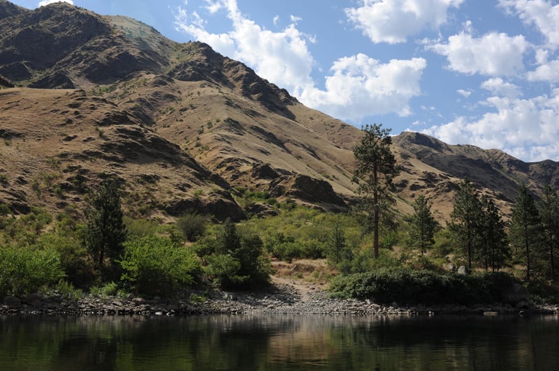  Cat Gulch Camp