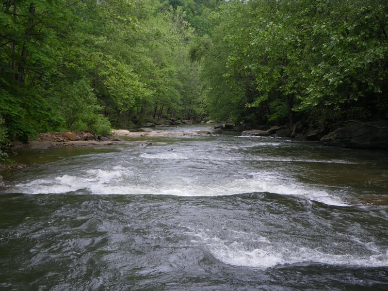 Typical Paint Creek @ low