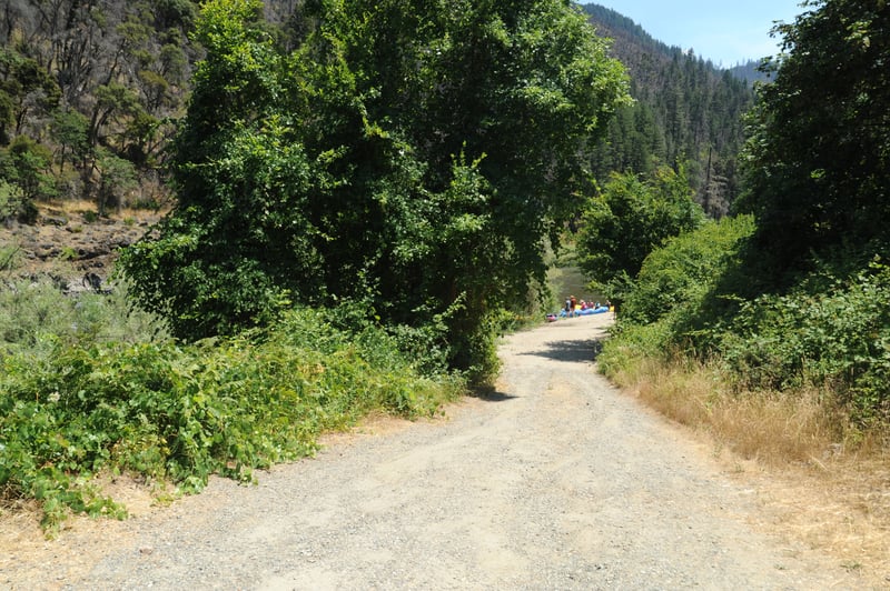 Seattle Creek River Access Road