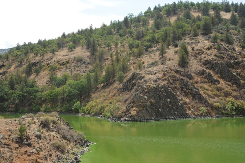 Iron Gate Reservoir Algal Bloom