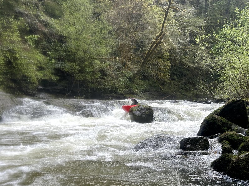 Near the end of Yach Rapids