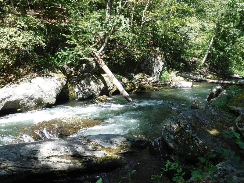 Chainsaw (bottom) -- Gunpowder Gorge