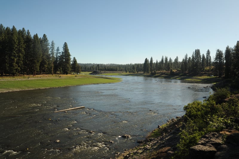 View Across the River to Pioneer Park West